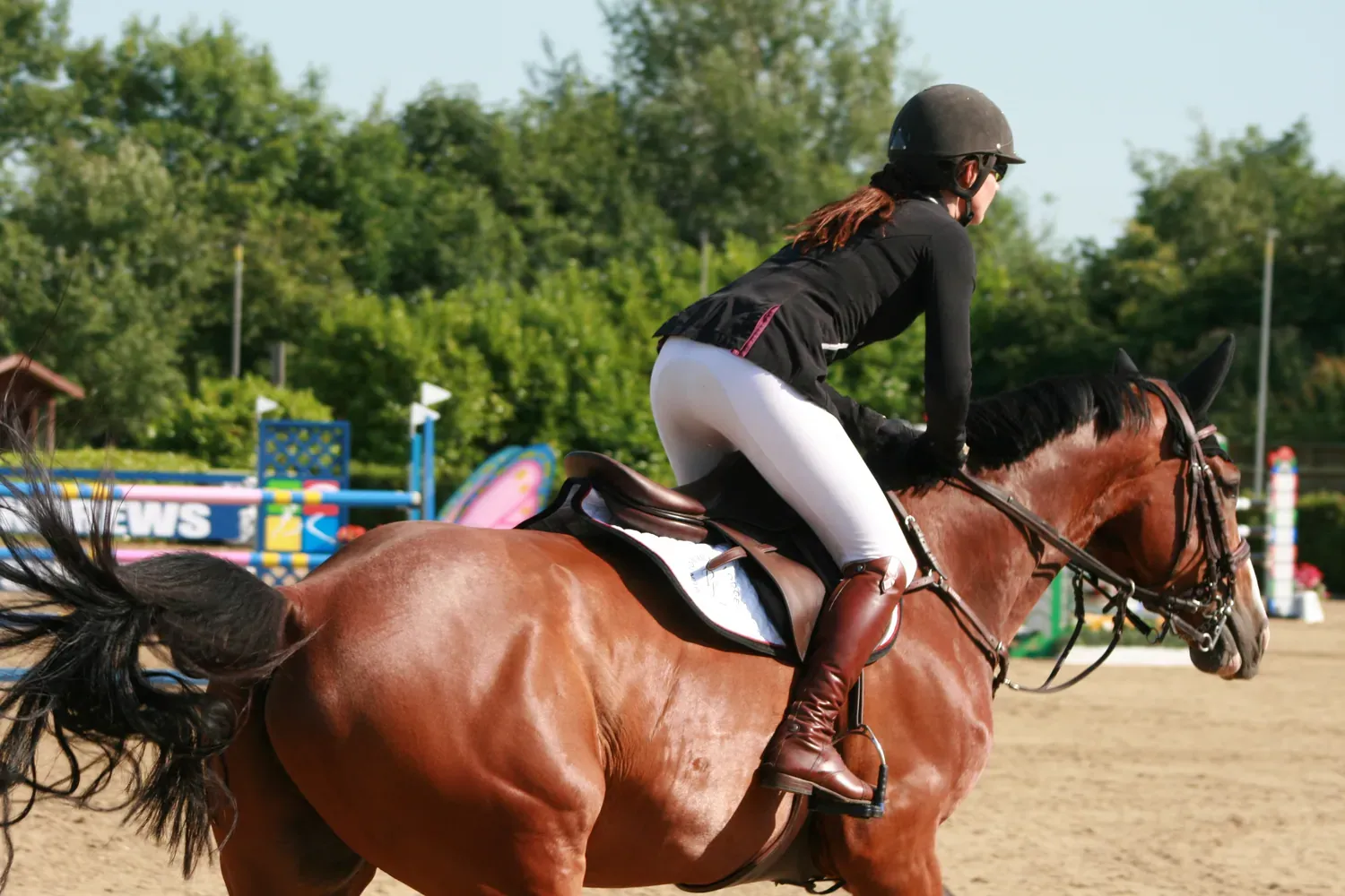 A rider cantering a bay horse across the arena