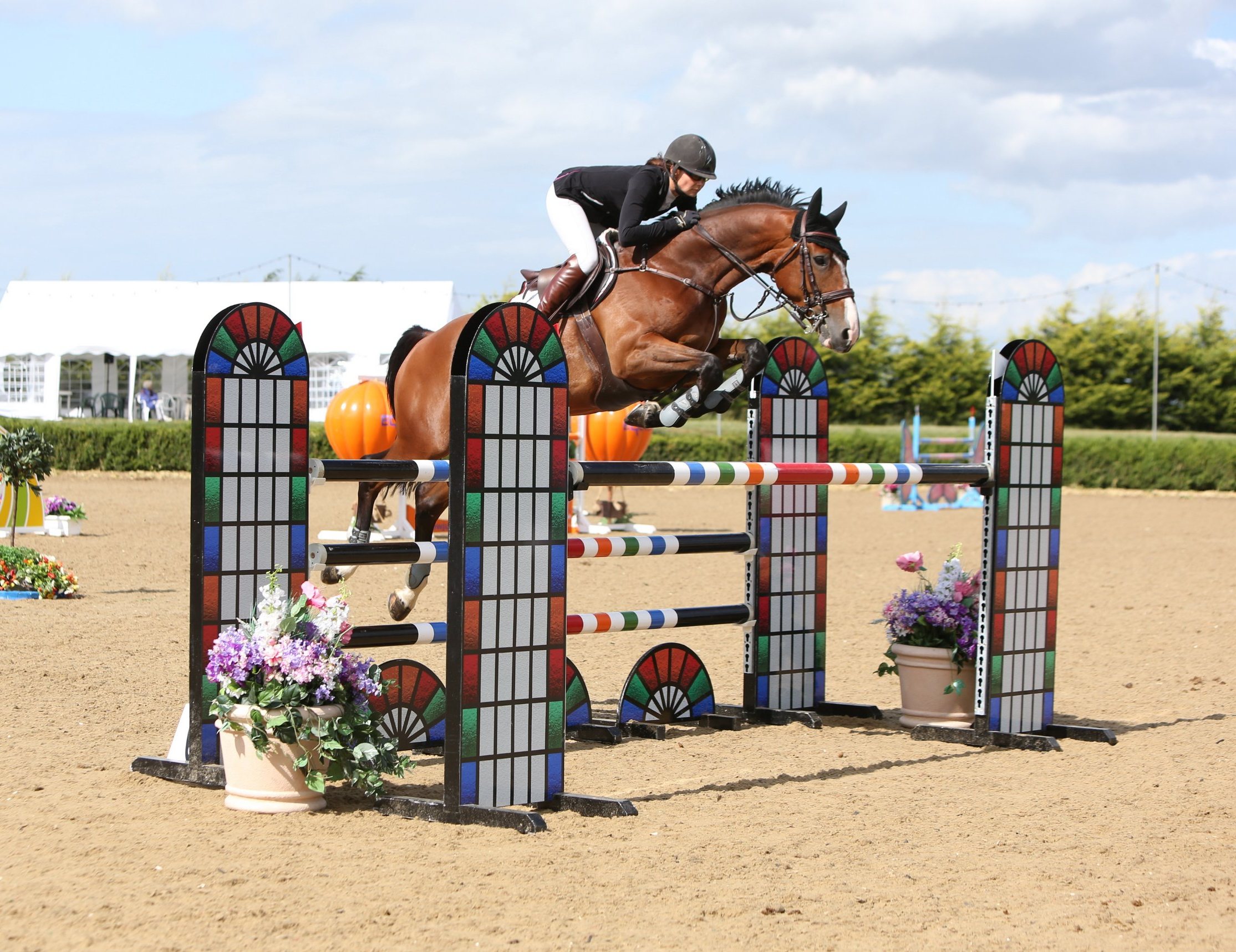 A bay show jumper clearing a colourful oxer with stained-glass style wings at a summer show