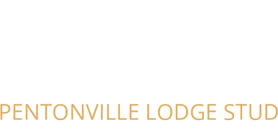 Pentonville Lodge Stud — equestrian services and training yard