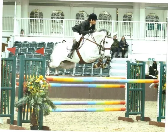 A grey jumping a coloured upright at an indoor show