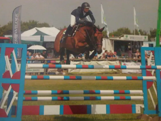 A bay jumping a red, white and blue oxer