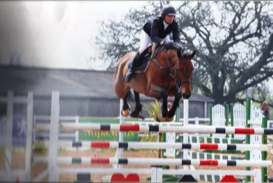 A bay jumping a coloured oxer