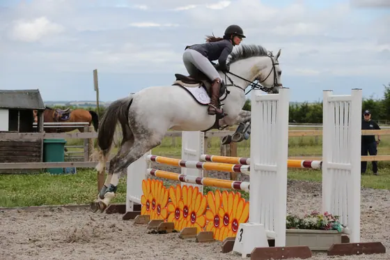 A grey taking off over a yellow filler