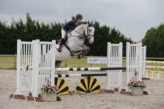 A grey jumping an oxer with a sunburst filler