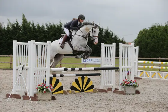 A grey over the sunburst oxer