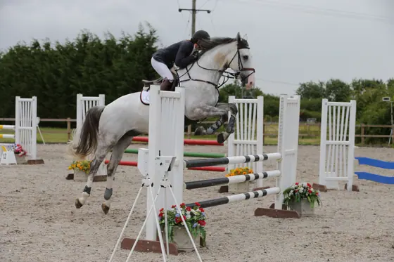 A grey jumping a coloured oxer