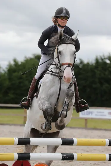 A grey jumping towards the camera