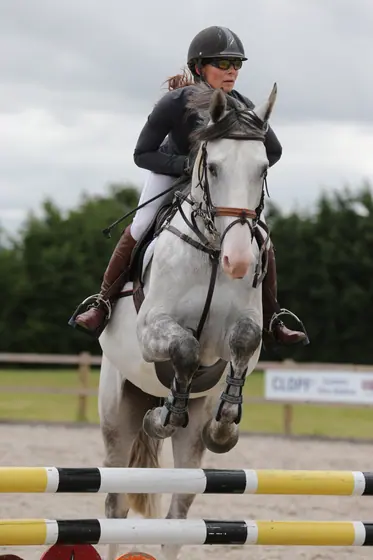 A grey coming over an upright towards the camera