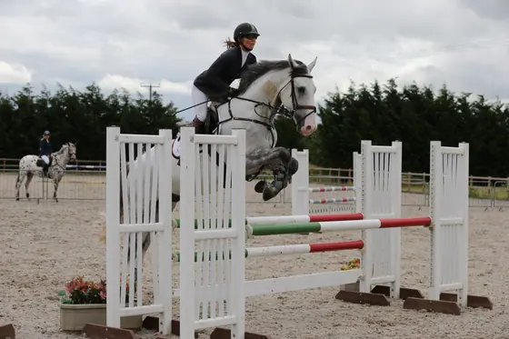 A grey jumping a white oxer in the outdoor arena
