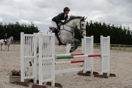A grey over a white oxer