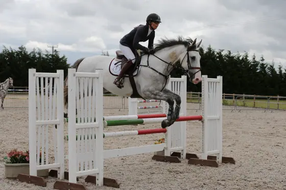 A grey landing over a white oxer