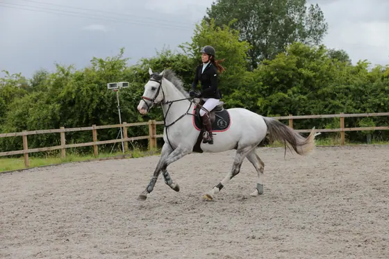A grey cantering away across the arena
