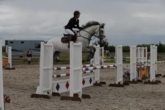 A grey jumping a white upright