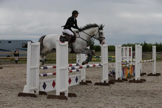 A grey jumping in the outdoor arena, horseboxes behind