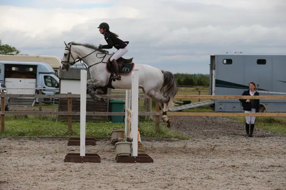 A grey landing over an upright