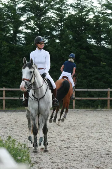 Riders on a grey and a bay in the arena