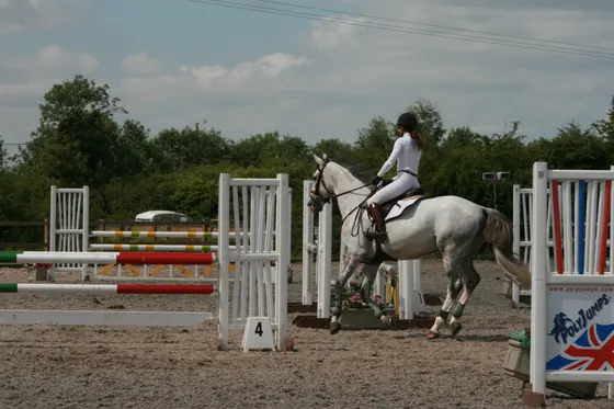 A grey cantering towards an upright