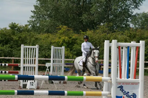A grey cantering past a white upright