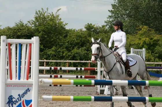 A grey cantering past the poles