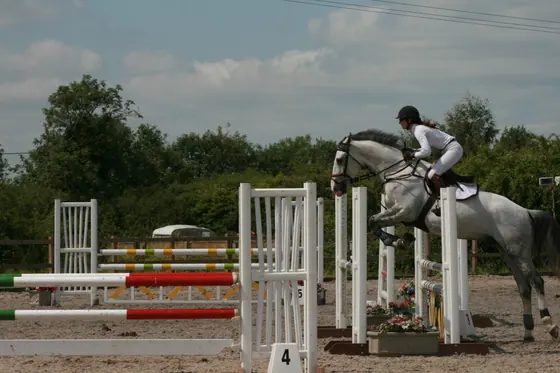 A grey jumping an oxer at an outdoor show
