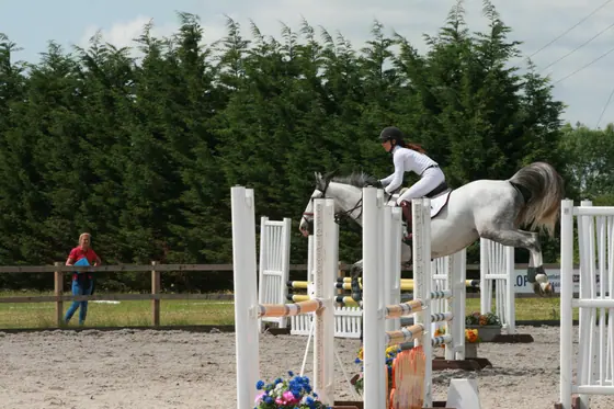 A grey jumping an upright in the outdoor arena