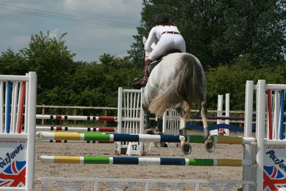A grey landing after a Union Jack fence