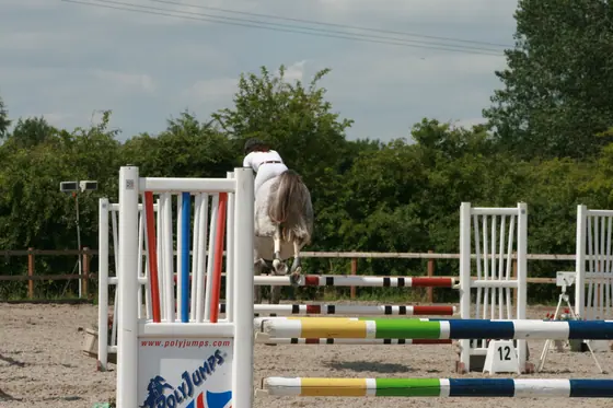 A grey approaching a striped upright