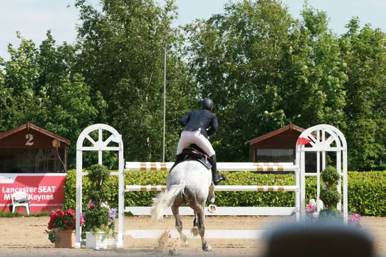 A grey jumping white gates