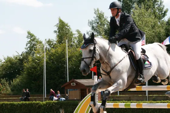 A grey jumping at a summer show