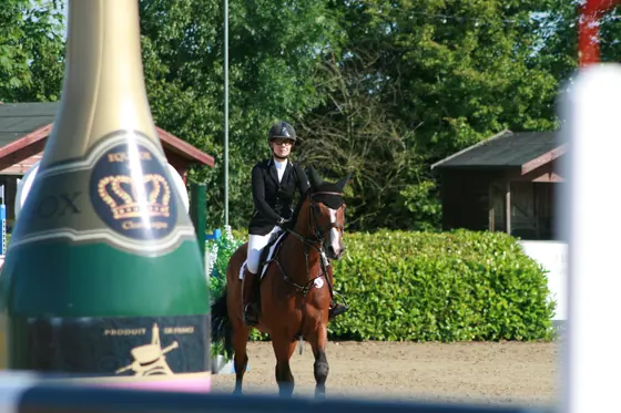 A rider on a bay beside a champagne bottle wing