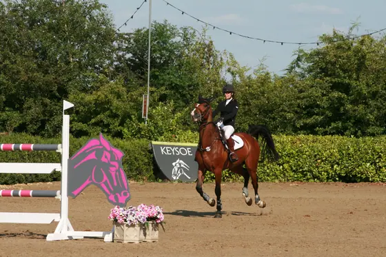 A bay cantering past a pink fence