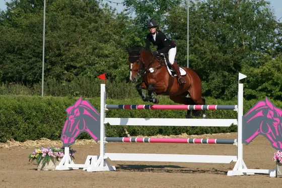 A bay jumping a pink and white oxer