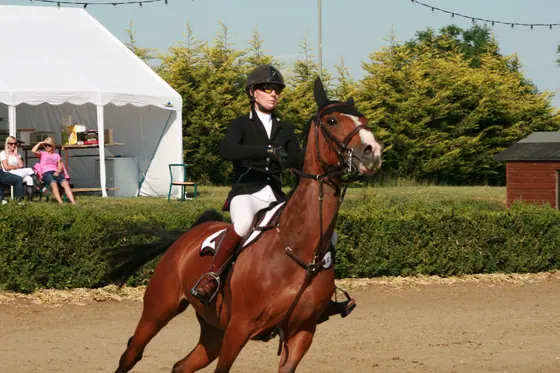 A rider cantering a bay at a summer show