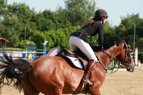 A rider on a bay, seen from behind