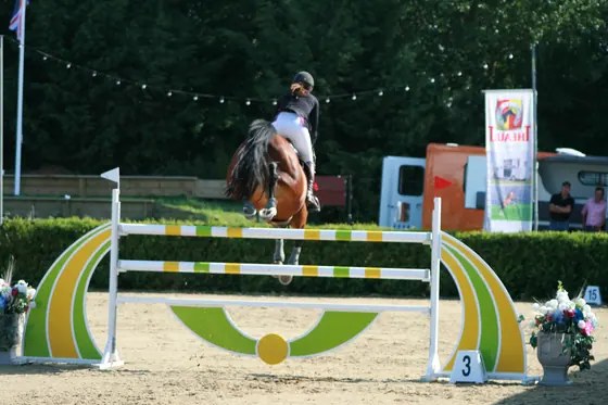 A bay jumping a fence with yellow and green wings