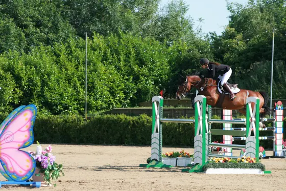 A bay jumping a green upright with butterfly wings