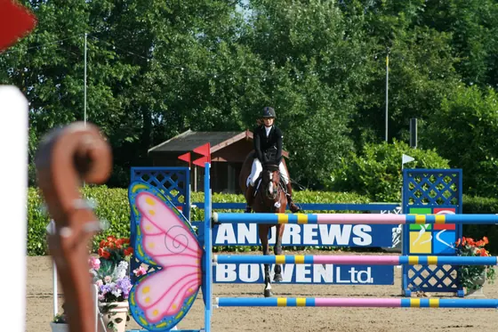A bay jumping a sponsor board fence with butterfly wings