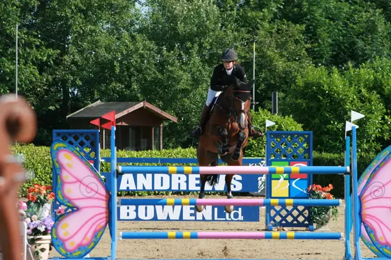 A bay jumping a fence with butterfly wings