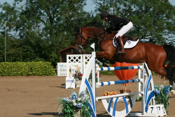 A bay jumping a white and blue upright