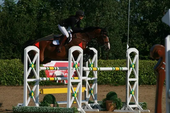 A bay jumping a white gate oxer