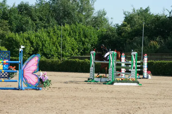 A bay jumping in a sand arena with butterfly wings