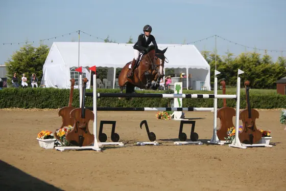 A bay jumping a fence with violin fillers