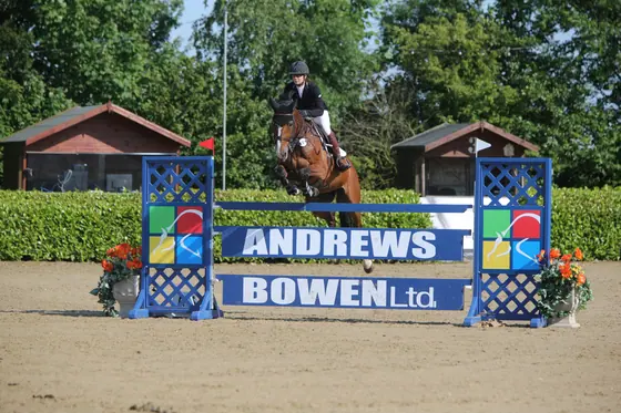 A bay jumping a sponsor board fence