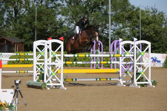 A bay jumping a white oxer