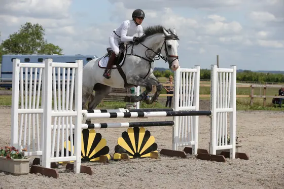 A grey jumping an oxer with a sunburst filler