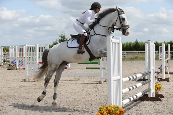 A grey landing after an upright