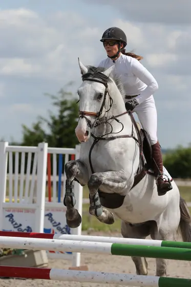A grey jumping a green and white upright, seen head on