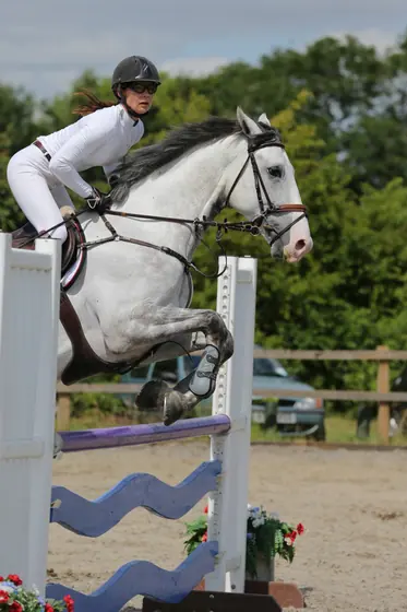 A grey jumping a blue wave filler at an outdoor show