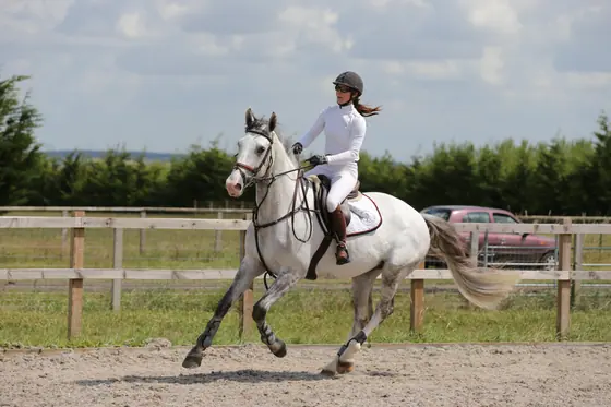 A grey cantering in the outdoor arena