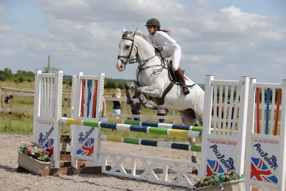 A grey jumping a Union Jack fence